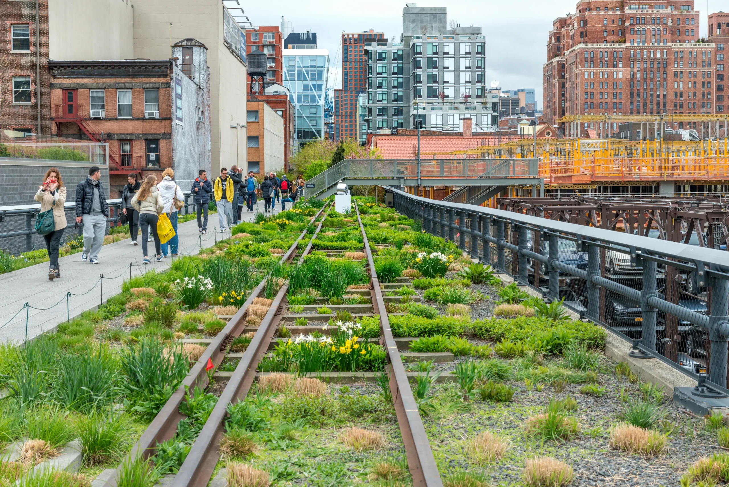 Top Eco Track City Trends for Urban Homes